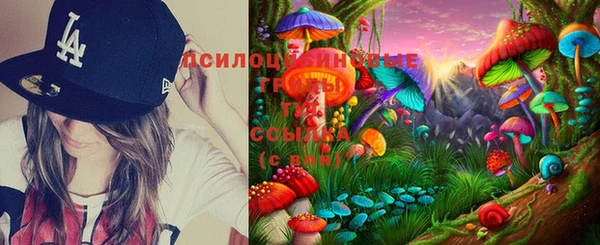 гашик Верхний Тагил